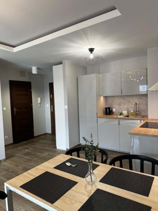 Apartment Polmerino Prime Łódź
